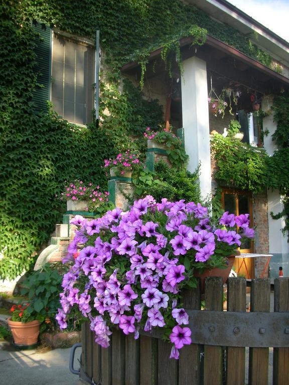 Cascina Beneficio Villa Castelnuovo Bormida ภายนอก รูปภาพ